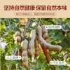 Tamarindo Doce Especialidade de Yunnan Fruta Grande Selvagem Fresca Feijão Ácido Tamarindo Feijão Ácido Feijão Doce Lanches para Grávidas Fruta de Tamarindo