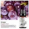 Exportación Transfronteriza Aceite Esencial Individual Fragancia Aromaterapia Masaje Aceite Esencial Sándalo Difusor Mayoreo Muestra de 10 ml