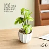 Plantas en maceta en miniatura de hoja verde, vegetación artificial, mini bonsái, decoración del hogar, adornos de interior, vegetación artificial al por mayor