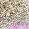 Envío Gratis 1440 Color Champaña Diamantes para Manicura Planos Mini Biselado Inferior Circonita Forma Especial Accesorios Explosivos para Uñas