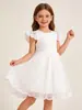 Vestido Princesa de Verão Feminino Transfronteiriço da Amazon, Doce e Fofo, Manga Flare, Cor Sólida, Renda, Vestido Casual da Moda