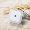 Lâmpada de Sensor LED Inteligente Nova e Única Barraca de Rua Mais Vendida Presente Criativo Plug-In Economia de Energia Luz Noturna Controlada por Luz Atacado