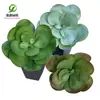 Simulación planta suculenta súper grande tamaño pequeño suculenta bonsái planta verde flor de plástico en maceta micro paisaje con pared vegetal