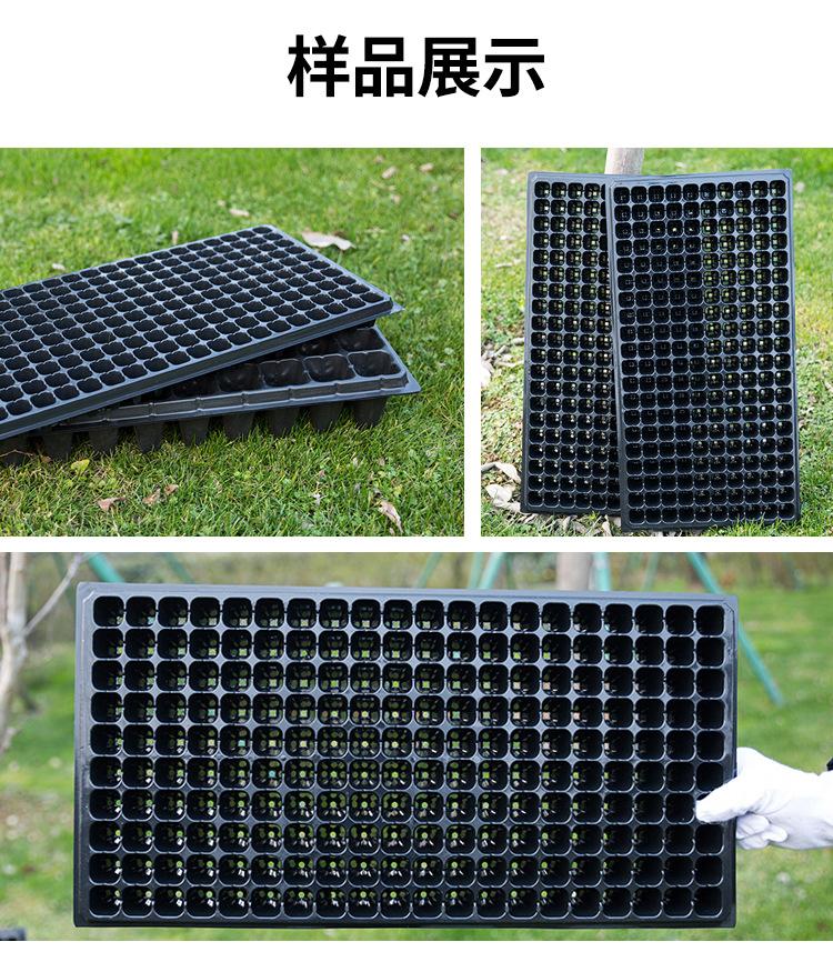 穴盘_10