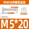 Tornillo autorroscante de acero inoxidable 304 cabeza plana grande tipo ciruela cabeza delgada tipo estrella CA punta aguda cola puntiaguda para madera M2M3M4M5
