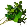Hoja de Milán hojas flor artificial hogar mayoreo decoración familiar boda camino guía pared de flores planta de pared flor falsa suministros de jardinería