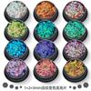 Venta caliente transfronteriza 1m + 2+3 Juego de joyas para uñas con diseño de camaleón en relieve, con purpurina, polvo brillante, esmalte de uñas en gel.