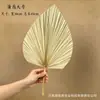 Hojas de palma secas, grandes frondas de palma, arreglos florales de estilo natural para floristerías, textiles para el hogar, decoraciones de arcos, decoraciones para escenas de bodas, hojas de palma