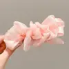 Presilha Grande para Rabo de Cavalo Alto, Volume Capilar Grande, Presilha Torcida, Presilha de Cabelo para Mulheres, Parte de Trás da Cabeça, Novo Estilo 2026, Presilha Banana, Presilha Vertical, Grampo de Cabelo