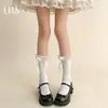 Calcetines de encaje, calcetines Lolita, calcetines de algodón puro para mujer, estilo fino de primavera y verano, calcetines con adorno de encaje de lazo, venta al por mayor desde Zhuzji