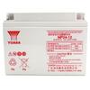 Bateria Yuasa selada NP100-12 12V100AH tipo chumbo-ácido regulada por válvula aplicável em EPS/UPS e painéis DC