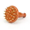 Escova Meridiana de Latão com 29 Dentes para Massagem Abdominal, Grande Raspador Meridiano Doméstico para Costas, Cintura e Abdômen, Massagem na Cabeça, Portátil