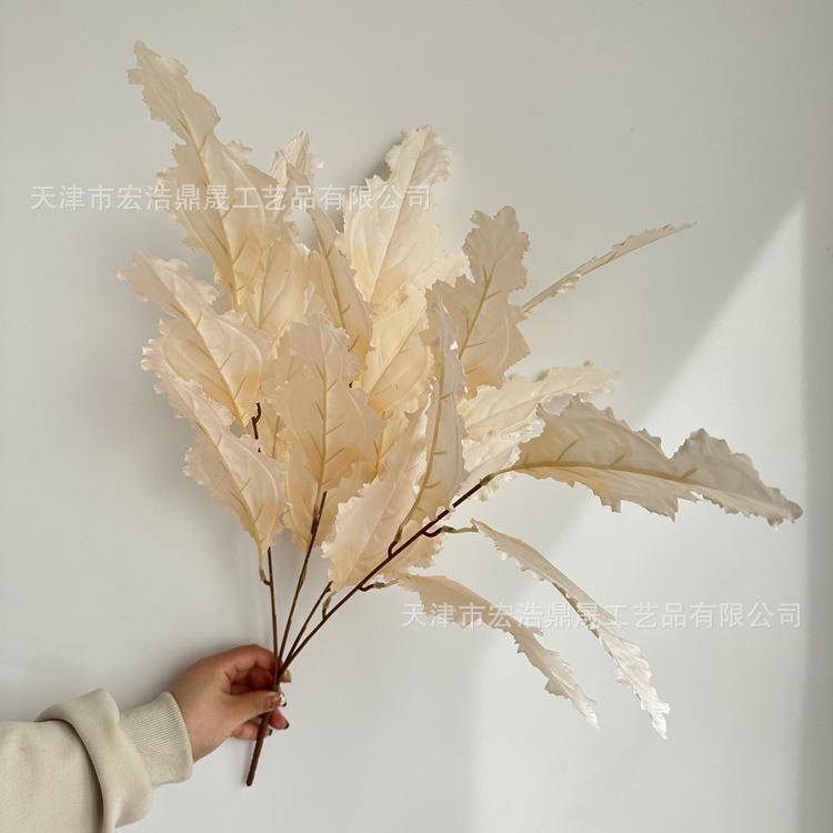 微信图片_202303241647076_副本
