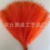 Punto Cruzado Hierba de Pampa Artificial Plumas Simuladas Accesorios de Boda Jardinería Caña Decorativa Simulada Cabello al por Mayor