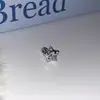 Brincos de Argola Exquisitos Laço Completo de Diamante Coração Azul Studs de Osso da Orelha Cravejados de Diamante Studs do Lóbulo da Orelha