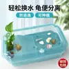 Jaula Ecológica de Cristal para Tortugas Paisaje Villa Transparente Tina para Tortugas Hierba de Tortuga Brasileña Casa de Vida para Tortugas Jaula con Planta Verde Antiescape