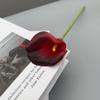 Adornos de Lirio de Calas de PU Flores Artificiales Decorativas Flores Falsas Pesando el Mismo Estilo que Xiaohongshu Accesorios de Fotografía Flores Artificiales Atmosféricas