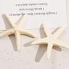 Serie Oceánica Zhen Tu Parches Creativos Versátiles de Resina de Estrella de Mar Colorida Pendientes Pinzas para el Cabello Accesorios de Joyería DIY Materiales