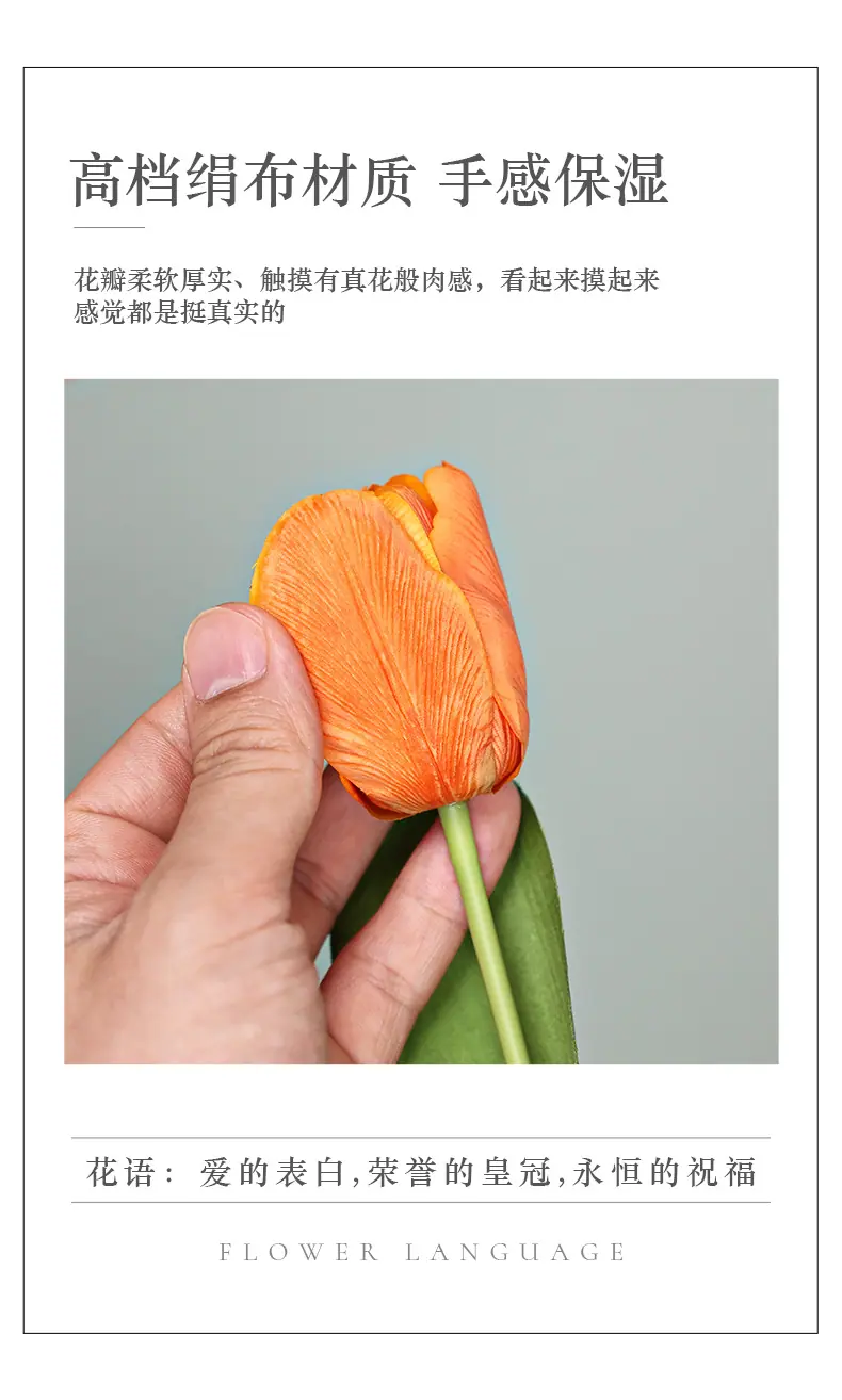 朵玉保湿郁金香_02.jpg