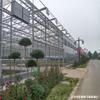 Invernadero de Estructura de Acero para Cultivo de Flores Fabricante de Invernadero Moderno de Vidrio Invernadero Inteligente Invernadero de Película Multinave