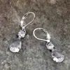 Brincos de Zircônia Brancos Novos em Forma de Gota para Mulheres, Cross-Border da Amazon, Luxo Leve, High-End, Versáteis