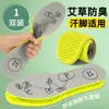 Plantillas de Artemisa para Masaje de Puntos de Acupuntura Humana, Absorbentes de Sudor, Desodorantes, Antibacterianas Herbales, Malla Transpirable Desodorante para Deporte y Ocio, Plantillas Completas
