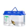 Tanque para Tortugas con Plataforma para Tomar el Sol, Tanque de Plástico para Cría de Tortugas para Uso Doméstico, Caja Portátil Pequeña para Tortugas Mascotas con Tapa, Contenedor de Alimentación