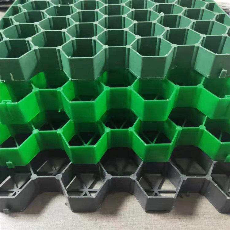 23831325204_875102184