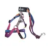 Novo conjunto de coleira e peitoral para animais de estimação color block com fivela de LED, adequado para cães Teddy e Bichon