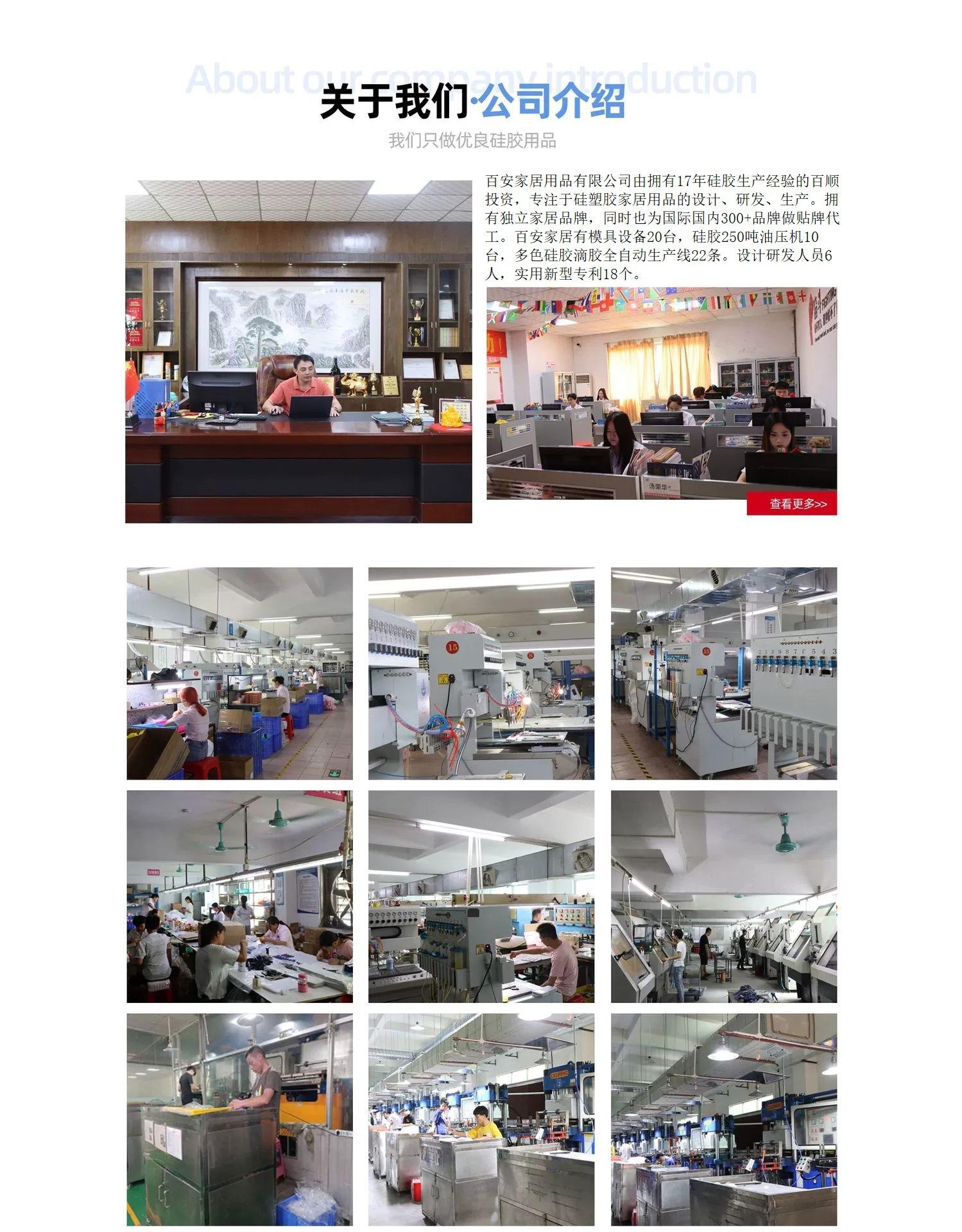 公司介绍(1)