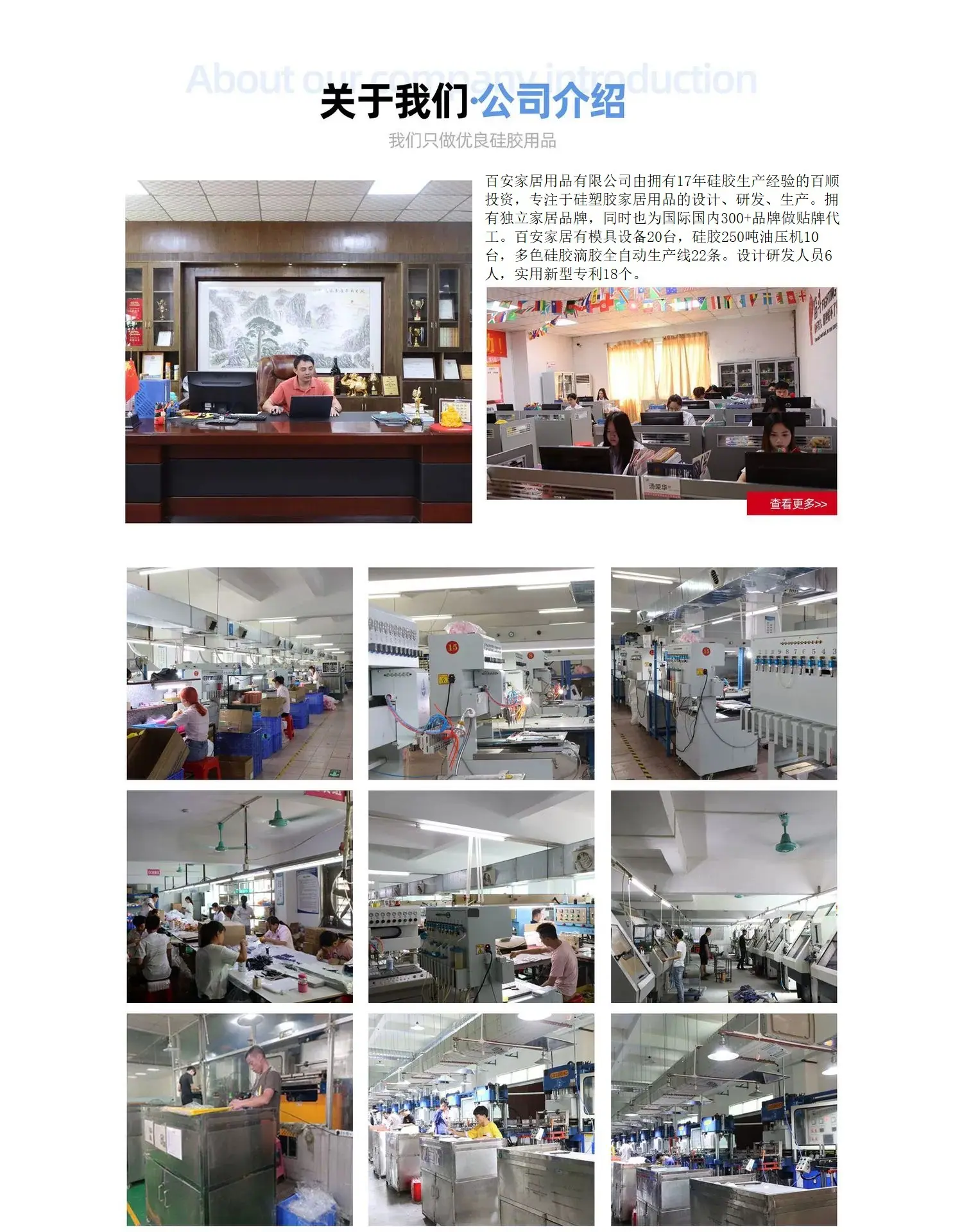 公司介绍(1)