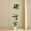 Plantas Verdes Artificiais, Árvore de Borracha Preta de Luxo de Alta Qualidade, Figueira Lira, Árvore Decorativa Artificial de Chão de Alta Qualidade para Sala de Estar Interna