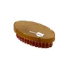 Cepillo de Zapatos de Mano PET Cerdas Resistentes al Desgaste Cerdas Densas Plantado de Cerdas Fácil de Enjuagar Cepillo Lavar Superficie del Zapato Antibacteriano PP Mango Curvo Hogar