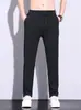 Pantalones de negocios versátiles de verano finos y rectos para hombre, transpirables, elásticos, resistentes a las arrugas, de seda helada, casuales para hombre
