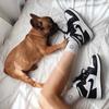 Meias de amor meias masculinas e femininas moda coreana estilo acadêmico meias esportivas outono e inverno preto e branco meias de algodão versáteis