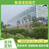 Ingeniería de invernaderos de vidrio, invernaderos prefabricados listos para enviar, fabricación y construcción de estructuras de acero modulares - Invernaderos Luyuan