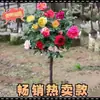 Mudas de rosas em formato de árvore, tocos de árvores, rosas altas, plantas em vasos com flores para as quatro estações, flores e plantas verdes fáceis de cultivar em ambientes internos