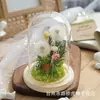 Caixa de Presente Flor Dente-de-leão Imortal Colorida Espécime Buquê de Flores Secas Presente de Aniversário Presente de Natal para Amigos Homens e Mulheres