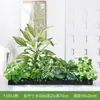 [Serie F100] Macetero con Planta Verde Artificial Decoración para Sala de Estar Interior Ventana de Piso a Techo Paisajismo Fotografía de Bodas Camino