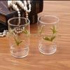 Vidro de alto borosilicato para casa Criativo Big Belly Lily Lily Flower Glass Alta temperatura ins Feng Shui Cup Home