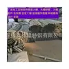 Tubos de Aço Galvanizados a Quente de Guangzhou, Rolos de Tubo de Aço para Estufas em Shenzhen, Postes para Filmes, Pilares de Estufas e Acessórios para Estufas