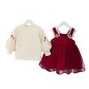 Falda de Dos Piezas para Niñas Traje de Falda Dulce de Hebra para Niños con Forro Polar Invierno Estilo Occidental Grueso Moderno Falda de Princesa para Bebé