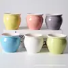Juego de Macetas de Cerámica para Suculentas, Sencillo y Elegante, Estilo Fresco Internacional, Macetas Redondas de Colores para Plantas de Balcón