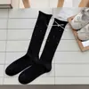 Calcetines Finos de Verano para Mujer, Calcetines Largos de Malla Hueca con Puntos y Lazo, Calcetines Versátiles de Media Pierna Estilo Miu, Algodón