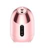 Instrumento de vapor facial con pulverizador caliente de comercio exterior, instrumento hidratante doméstico, pulverizador facial de calor y frío, instrumento de belleza, atomizador de humidificación, vapor facial