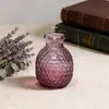 Vaso de Vidro Sódio-Cálcio Personalizado Transfronteiriço, Pote de Armazenamento, Estilo de Padrão em Malha de Luxo Leve, Decoração de Sala de Estar, Armazenamento de Vaso de Flores Estilo Europeu