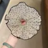 Dulce Goma para el Cabello de Organza con Puntos, de Aspecto de Lujo, Adecuada para Coletas y Moños, Cuerda para el Cabello de Estilo Perezoso, Accesorio Versátil para el Cabello