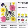 Marcadores de Libros de Flores Secas, Espécimenes de Plantas, Película de Sellado de Plástico, Colección Otoñal de Hojas de Arce, Materiales para Manualidades, Pegatinas Transparentes de Hojas, Borlas