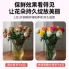 Pastillas Efervescentes Revitalizantes para Flores, Tienda de Flores en Casa, Purificador de Agua Desodorante Desinfectante para Plantas Hidropónicas, Agente de Conservación y Esterilización para Flores