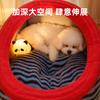 Canil Quente de Inverno para Cachorro Semi-Fechado Cama de Dormir para Cães de Porte Pequeno e Médio Sono Longo Sem Desabar Espaço Amplo Canil para Cachorro Portátil